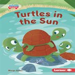 Turtles in the sun cover image cdn