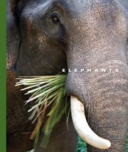 Elephants cover image cdn