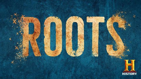 Roots cover image cdn