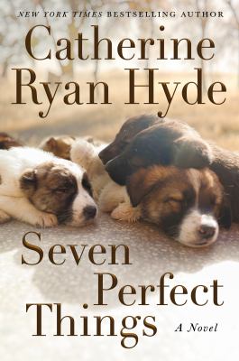 Seven perfect things  cover image cdn
