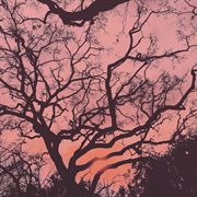 Dedication to death cover image cdn