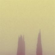 What manner of distortion are we cover image cdn