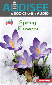 Spring flowers cover image cdn