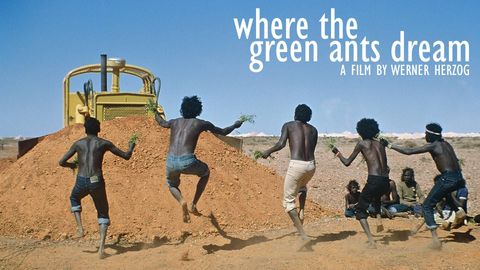 Where The Green Ants Dream cover image cdn