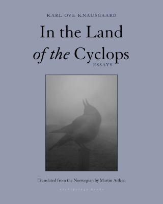 In the land of the cyclops : essays cover image