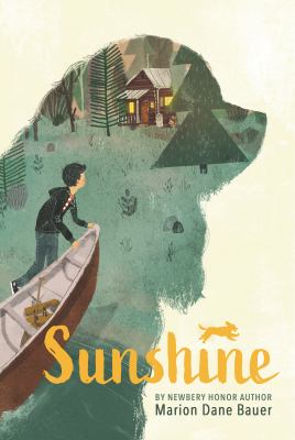 Sunshine  cover image cdn
