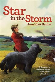 Star in the storm cover image cdn
