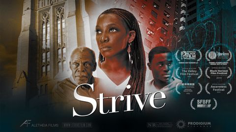 Strive cover image cdn