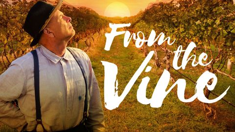 From the Vine cover image cdn