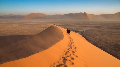 Desert Safaris cover image cdn