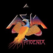 Phoenix cover image cdn