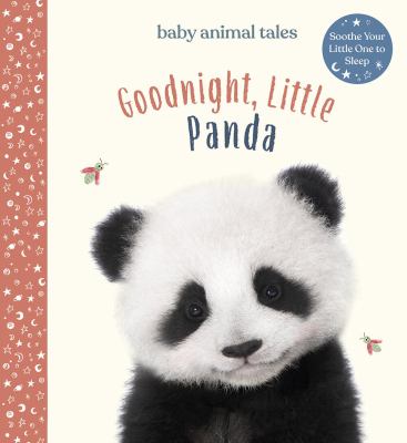 Goodnight, little panda cover image