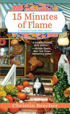 15 minutes of flame cover image
