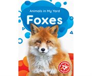 Foxes cover image cdn