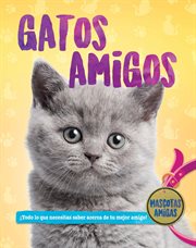 Gatos amigos cover image cdn