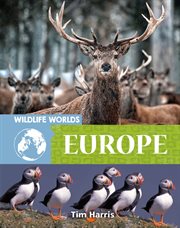 Europe cover image cdn