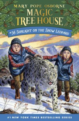 Sunlight on the snow leopard cover image