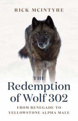 The redemption of wolf 302 : from renegade to Yellowstone alpha male cover image
