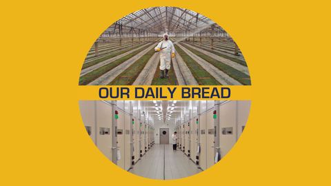Our Daily Bread cover image cdn