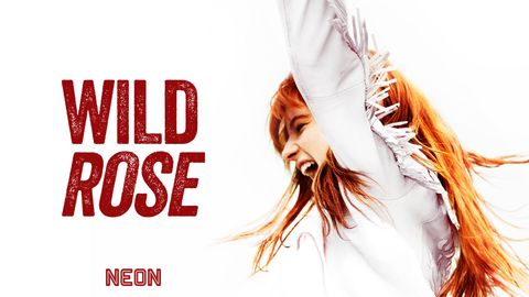 Wild Rose cover image cdn