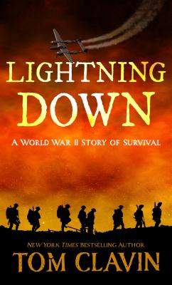 Lightning down a World War II story of survival cover image