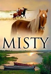 Misty cover image cdn