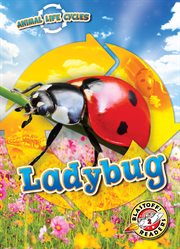 Ladybug cover image cdn