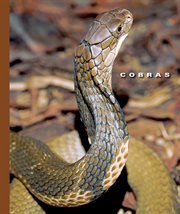 Cobras cover image cdn