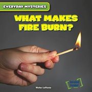 What makes fire burn? cover image cdn