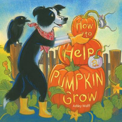How to help a pumpkin grow  cover image cdn