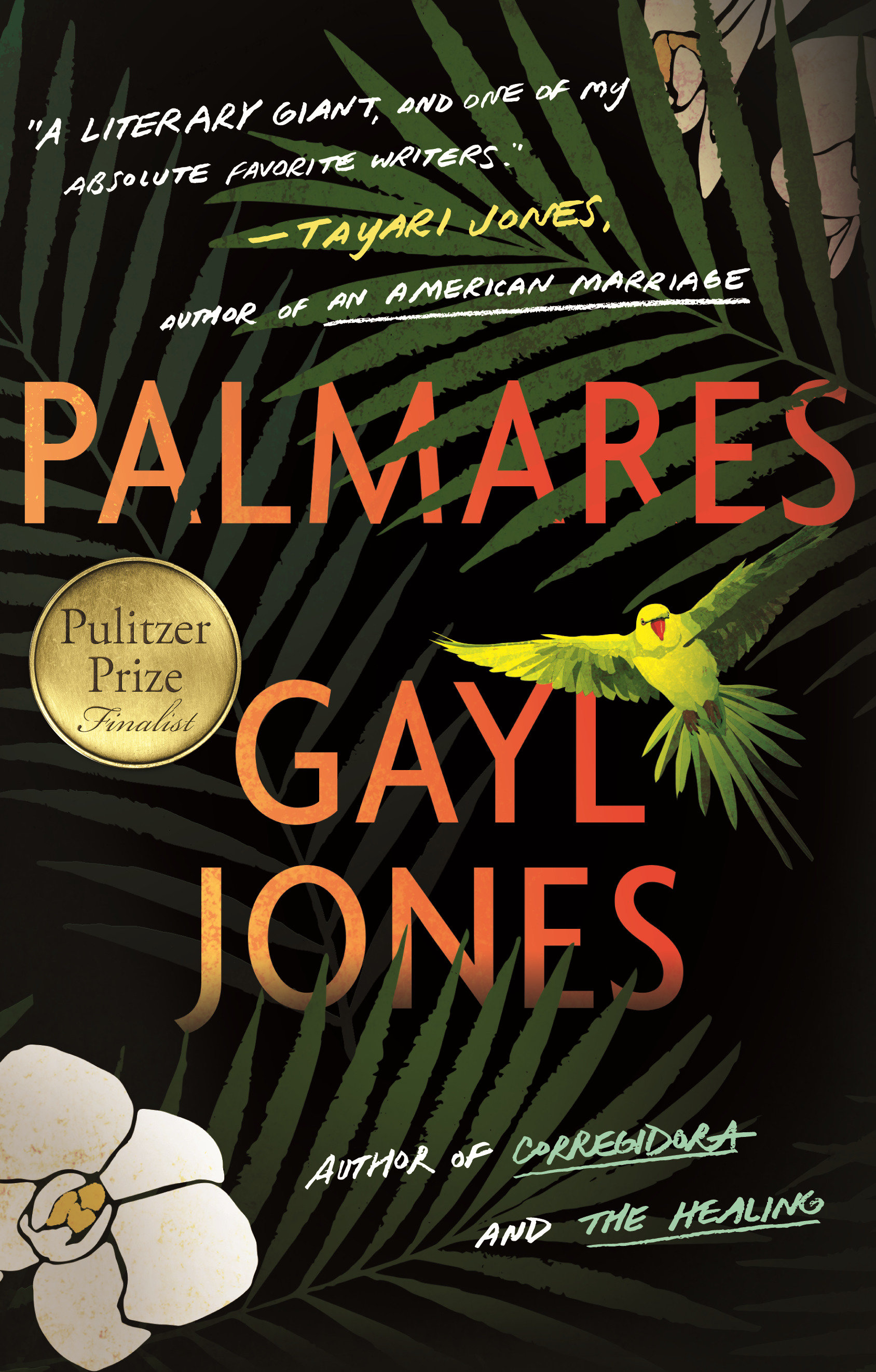Palmares cover image cdn