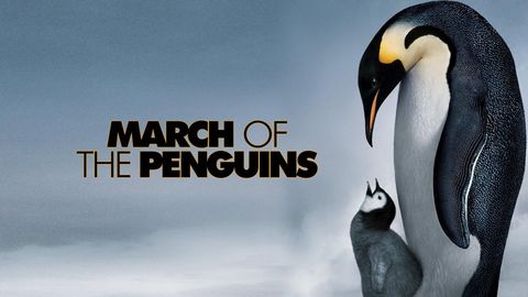 March of the Penguins cover image cdn