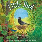 Little bird cover image cdn