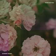 Insecurities cover image cdn