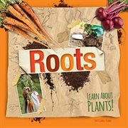 Roots cover image cdn