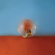 In the meantime cover image cdn