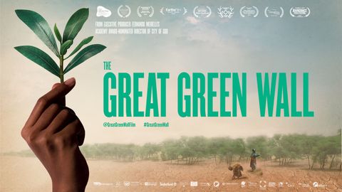 The Great Green Wall cover image cdn