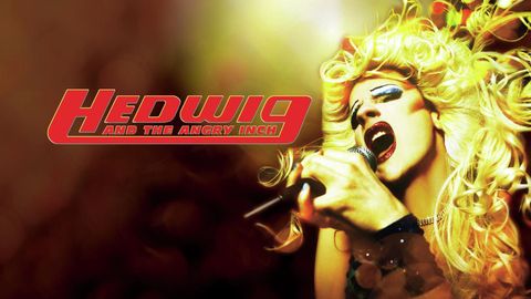 Hedwig and the Angry Inch cover image cdn