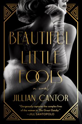 Beautiful little fools cover image