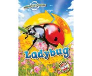 Ladybug cover image cdn