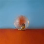 In the meantime cover image cdn