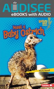 Meet a baby ostrich cover image cdn