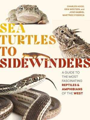 Sea turtles to sidewinders : a guide to the most fascinating reptiles & amphibians of the west  cover image cdn