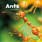 Ants cover image cdn