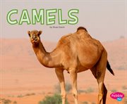 Camels cover image cdn
