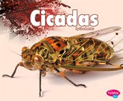 Cicadas cover image cdn