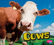 Cows cover image cdn