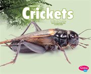 Crickets cover image cdn