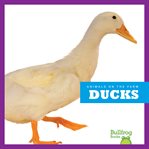 Ducks cover image cdn
