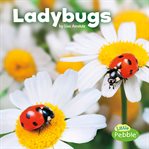 Ladybugs cover image cdn